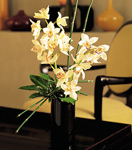  Tokat online ieki , iek siparii  cam yada mika vazo ierisinde dal orkide