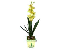 zel Yapay Orkide Sari  Tokat online iek gnderme sipari 