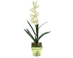 zel Yapay Orkide Beyaz   Tokat iek siparii vermek 