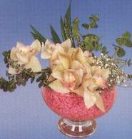  Tokat iek siparii sitesi  Dal orkide kalite bir hediye