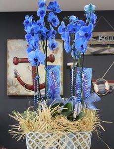 4 dall zel mavi orkide  Tokat nternetten iek siparii 