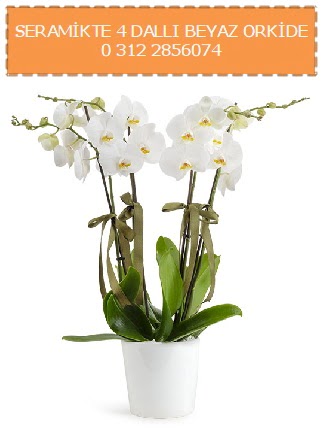 Seramikte 4 dall beyaz orkide  Tokat online ieki , iek siparii 