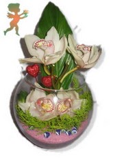 fanus ierisinde 4 orkide  Tokat online ieki firmas