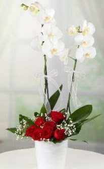 2 dall beyaz orkide 7 adet krmz gl  Tokat iek sat 